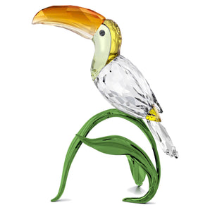 Idyllia Tucano
