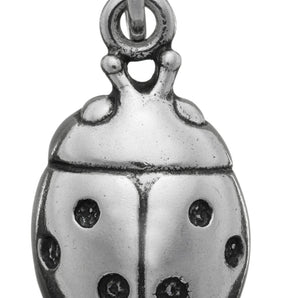 Charm coccinella grande