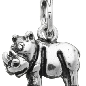 Charm Giovanni Raspini rino